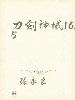 刀剑神域16.5