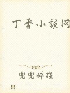 丁香小说网