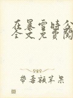 在暴雪时分小说全文免费阅读