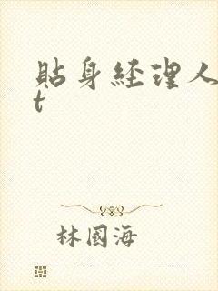 贴身经理人txt封面