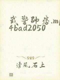 武警帅痞.mp4bad2050