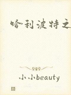 哈利波特之守护