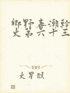 乡野春潮干柴烈火第六十三章