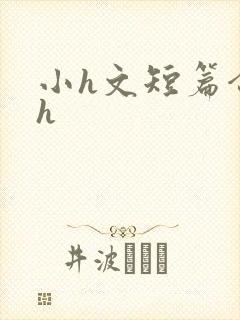 小h文短篇合集h封面