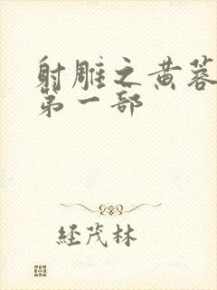 射雕之黄蓉新传第一部封面