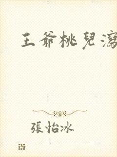 王爷桃儿泻了封面