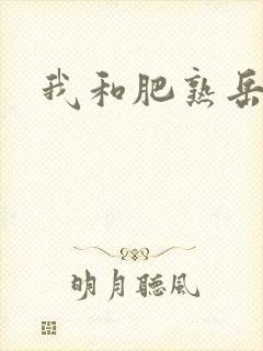 我和肥熟岳销魂封面