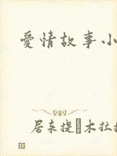 爱情故事小说封面