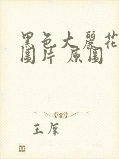 黑色大丽花真实图片 原图封面