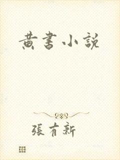 黄书小说