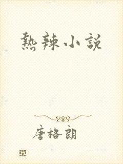 热辣小说封面