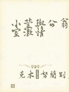 小莹与公翁办公室激情