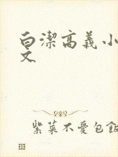 白洁高义小说全文封面