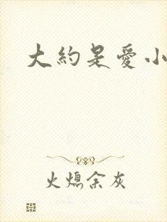 大约是爱小说
