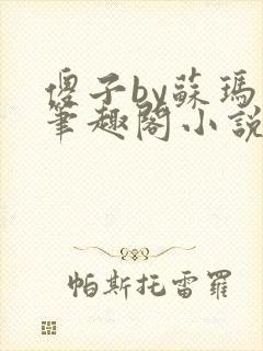 傻子by苏玛丽笔趣阁小说