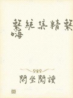 系统集精系统高嗨封面