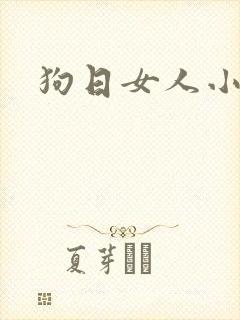 狗日女人小说