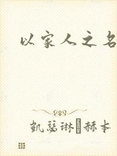 以家人之名小说封面