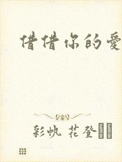 借借你的爱封面