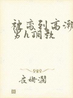 被脔到高潮的直男h调教