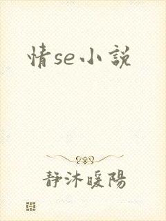 情se小说