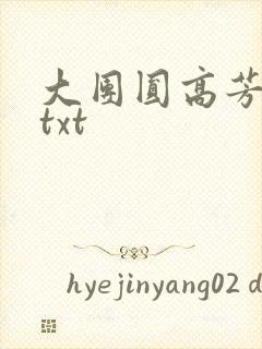 大团圆高芳小说txt