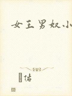 女王男奴小说封面