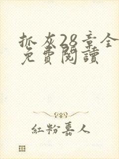 抓灰28章全部免费阅读