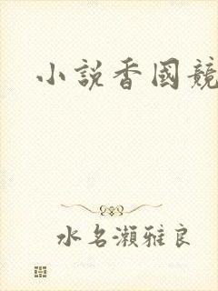 小说香国竞艳