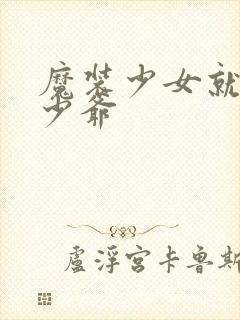 魔装少女就是本少爷