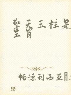 擎天玉柱是什么生肖