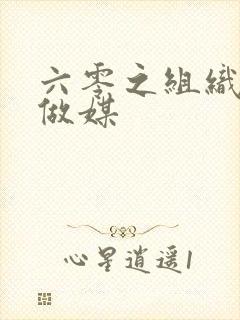 六零之组织给我做媒