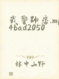 武警帅痞.mp4bad2050