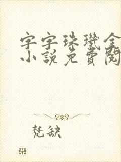 字字珠玑金银花小说免费阅读封面