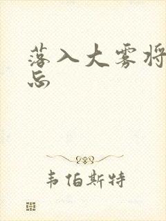 落入大雾将你遗忘封面