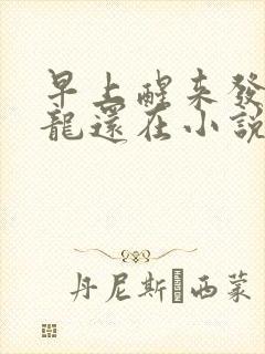 早上醒来发现巨龙还在小说