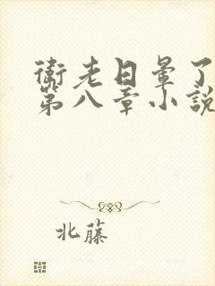 卫老日晕了淑蓉第八章小说