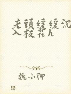 老头缓缓沉腰进入校花h