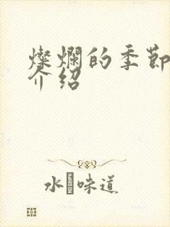 灿烂的季节剧情介绍