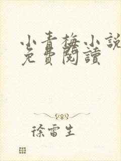 小青梅小说全文免费阅读
