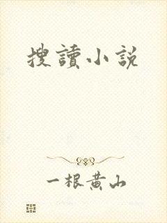 搜读小说封面