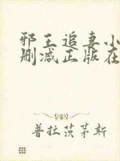 邪王追妻小说无删减正版在线阅读