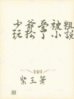 少爷受被粗汉H玩松了小说