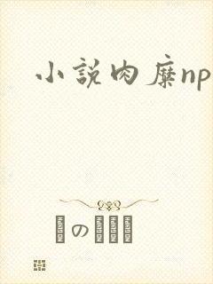 小说肉糜np