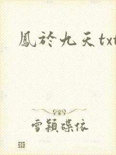 凤于九天txt封面