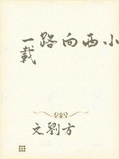 一路向西小说下载