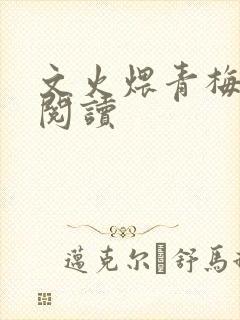 文火煨青梅免费阅读封面