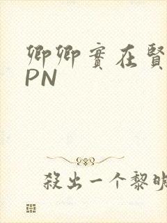 卿卿实在贤良NPN