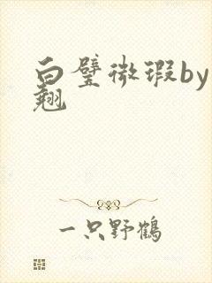 白璧微瑕by连翘