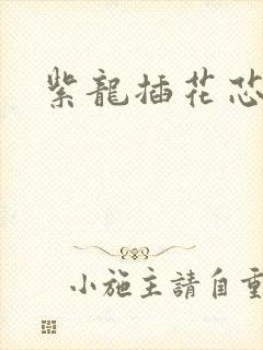 紫龙插花芯方正